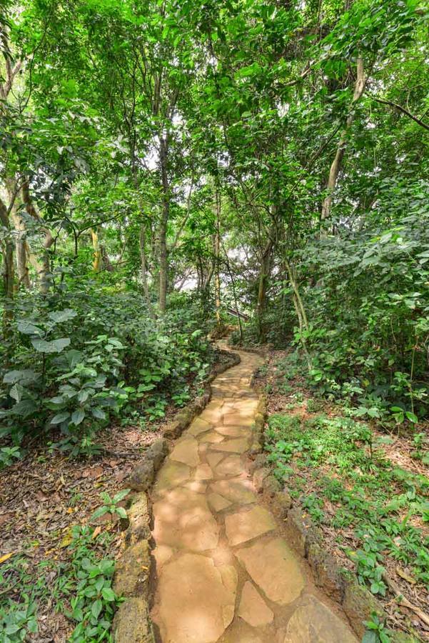 Serenada Eco Resort ムコノ エクステリア 写真
